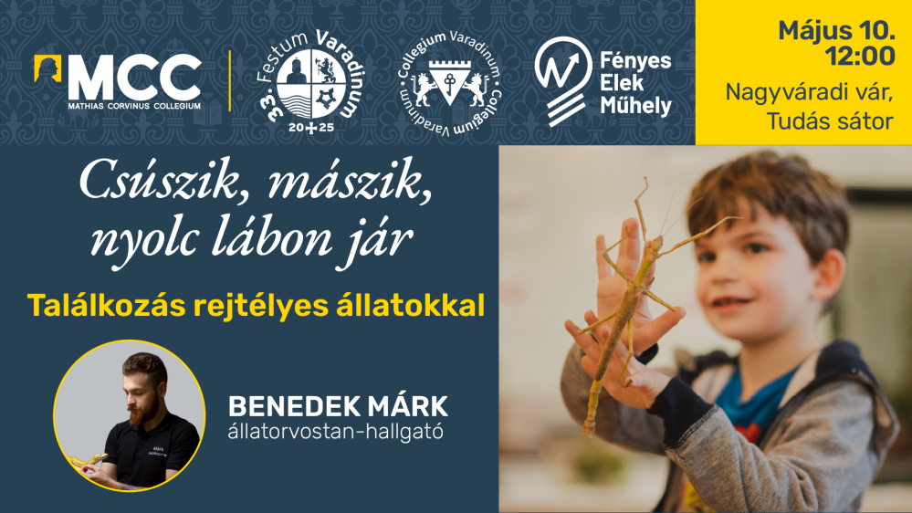 máj 10. csúszik, mászik-05.png